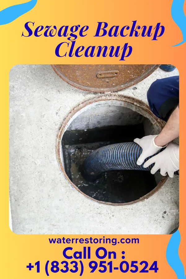 Sewage Backup Cleanup in Cleveland, ND